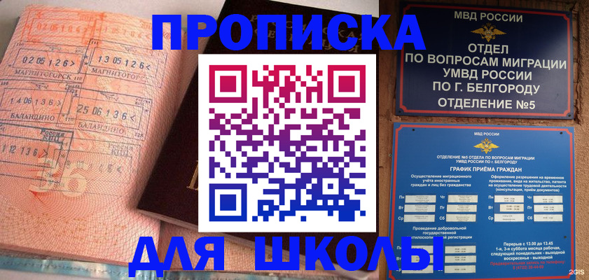 прописка иностранных граждан в Новошахтинске